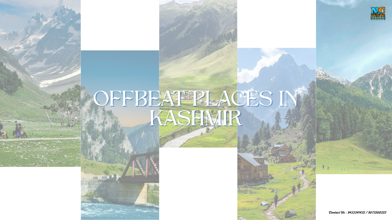 Kashmir offbeat places in Summer, Kashmir hidden jems, Kashmir offbeat places,